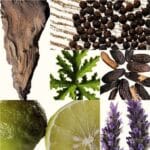 United Colors of Benetton United Dreams Together EDT For Him Perfume (100ml) - Image 4