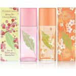 Elizabeth Arden Green Tea Nectarine Blossom EDT Perfume (100ml) - Image 3
