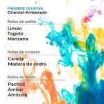 Nike Green Eau De Toilette Spray For Man (100ml) - Image 3