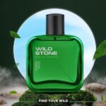Wild Stone Forest Spice Eau De Parfum (50ml) - Image 4