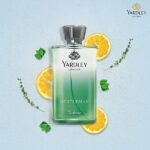 Yardley London Gentleman Urbane Daily Wear Perfume (100ml) - Image 2