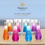 Yardley London Mist Daily Wear Perfume Eau de Toilette For Women (100ml) - Image 3