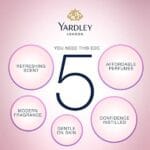 Yardley London Mist Daily Wear Perfume Eau de Toilette For Women (100ml) - Image 4