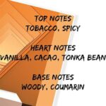 Flavia Vanilla & Tobacco Eau De Parfum For Men (100ml) - Image 4