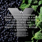 Yves Saint Laurent Y Eau de Parfum Intense (100 ml) 01